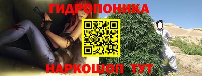 соль ск Гусев