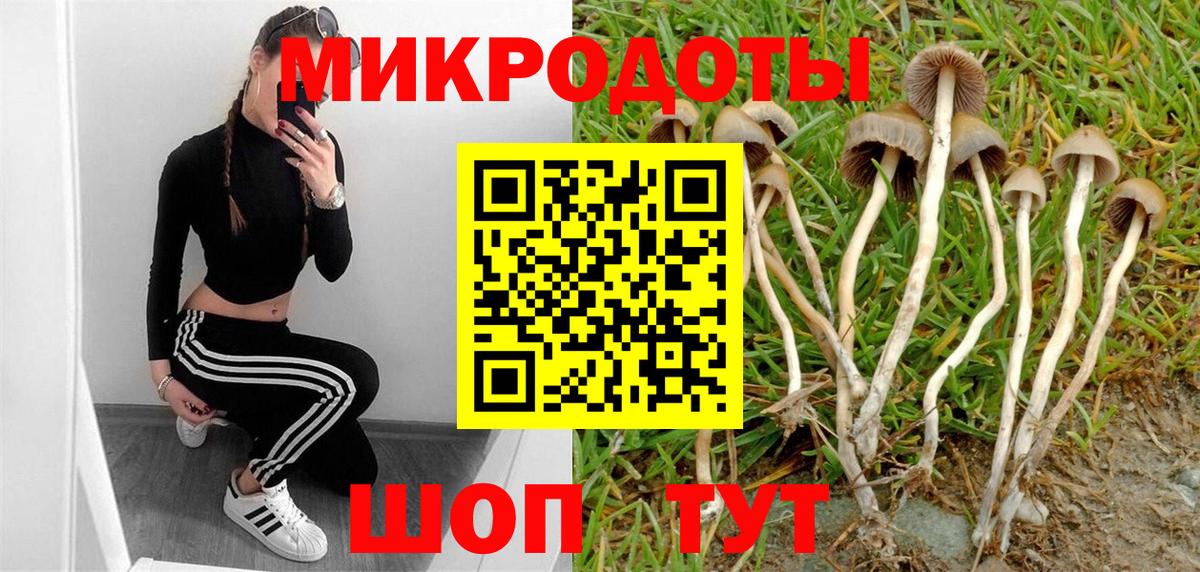 Псилоцибиновые грибы Cubensis  Вход с VPN  Галлюциногенные грибы Psilocybine cubensis  Кандалакша 